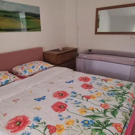 Apartmani Bilic Korenica Exterior foto